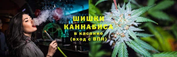 крисы Кодинск