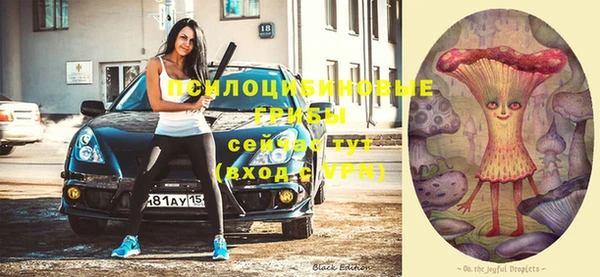 прущая мука Козельск