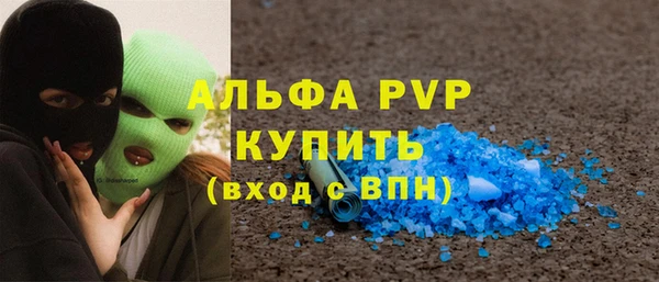 крисы Кодинск
