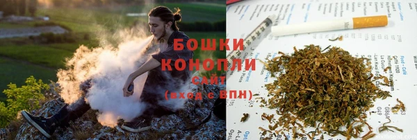 крисы Кодинск