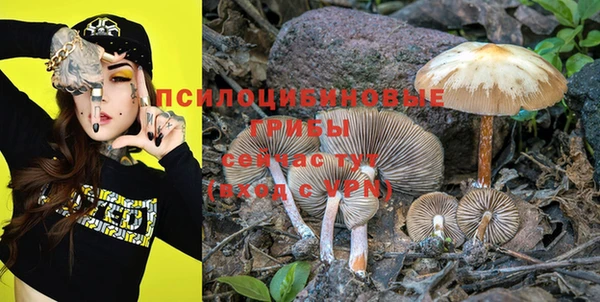 крисы Кодинск