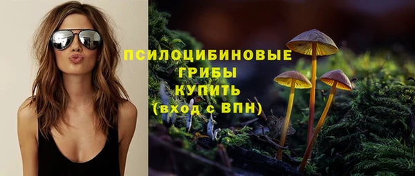 крисы Кодинск