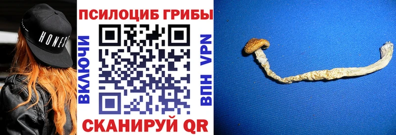 как найти закладки  Углегорск  ссылка на мегу ССЫЛКА  Галлюциногенные грибы GOLDEN TEACHER 